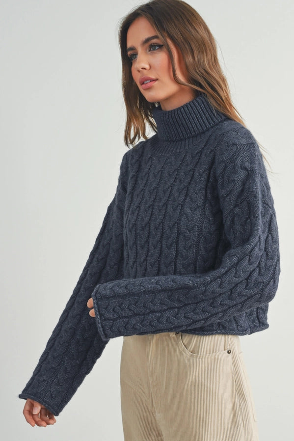 Thick Braid With Turtle Neck Long-Sleeve Sweater | Navy