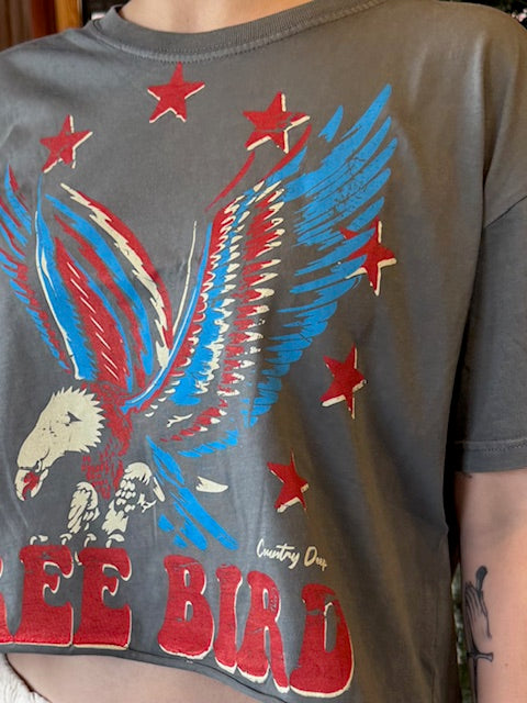 Free Bird 22 Vintage Relaxed Crop T-Shirt